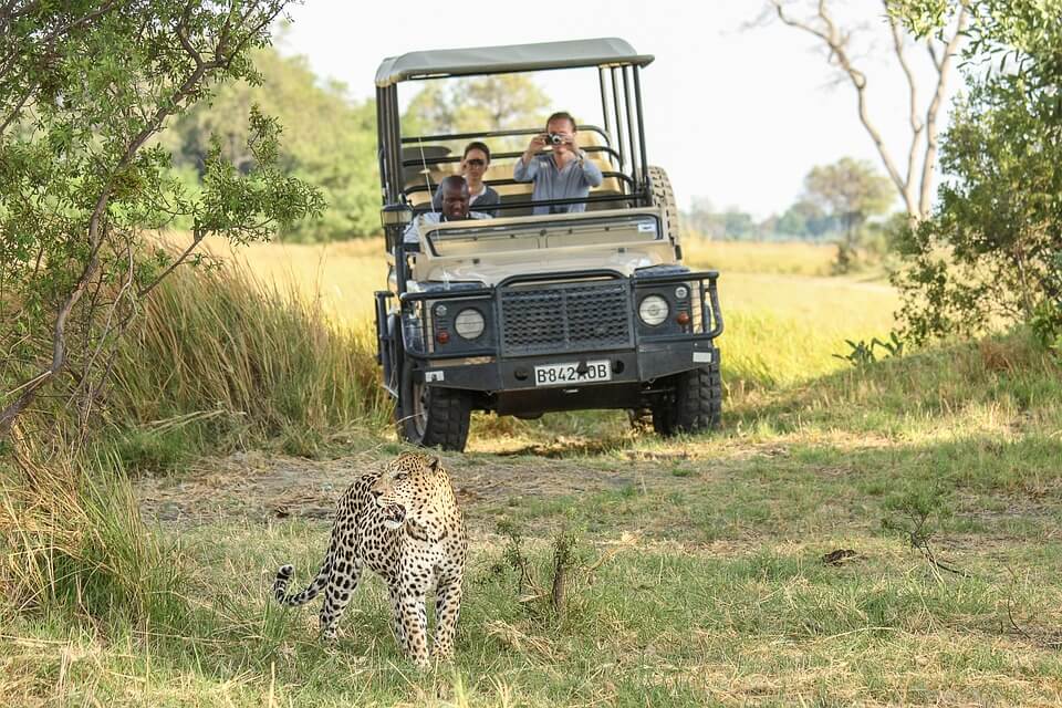 Marwar Safari